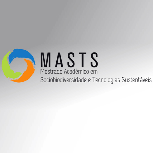 Masts realiza aula inaugural, dia 17/01, com o tema R...