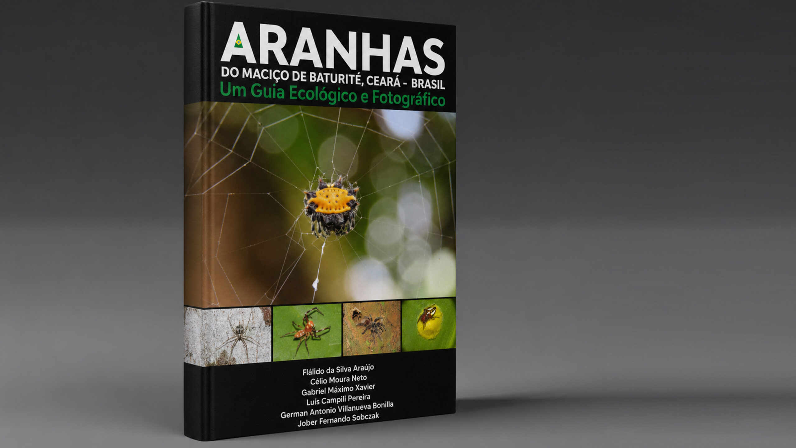 Pesquisadores da Unilab lançam livro Aranhas do Maciço d...